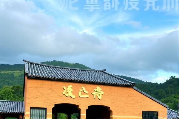 抓饭nba录像重播,抓饭直播飞速直播nba